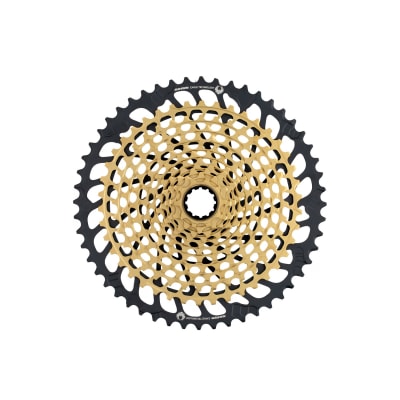 Piñon XG 1299 XX1 Eagle 10-52t Gold1