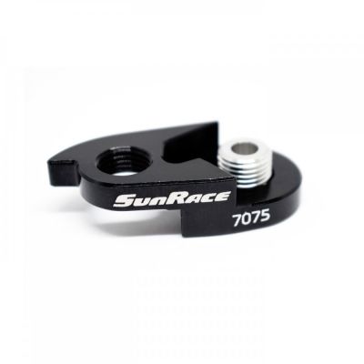 Extension de postiza