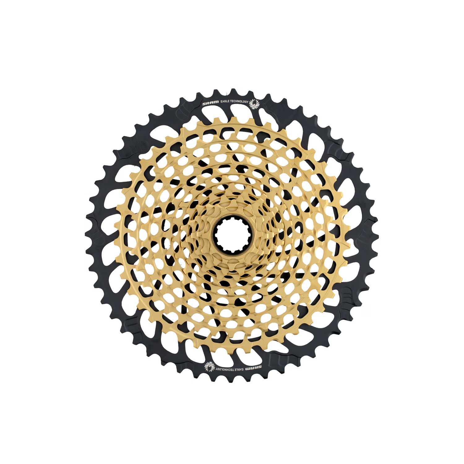 Piñon XG 1299 XX1 Eagle 10-52t Gold | Ruka Cycles