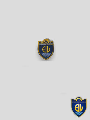 INDUSTRIAL INSIGNIA BORDADA BRILLANTE VARIOS COLORES