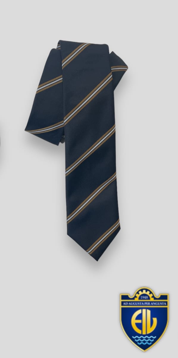 INDUSTRIAL CORBATA SEDA LISTADA VARIOS COLORES1