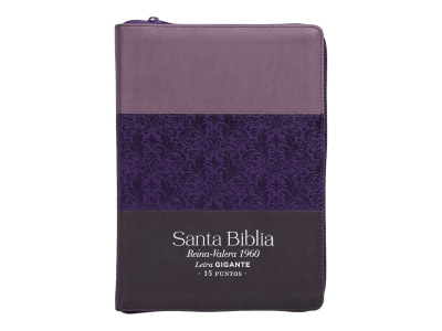 TRICOLOR LILA, MORADO , LETRA GIGANTE