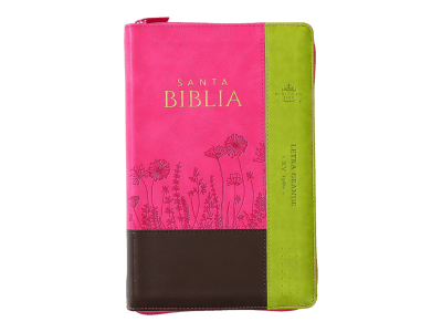 INSPIRACION FLORES, MARRON, FUCSIA, LIMA, LETRA GRANDE