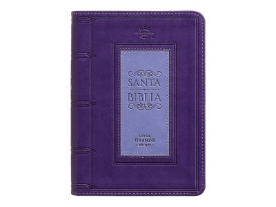 LILA DISEÑO CUADRADO