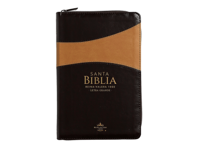 CLASICA BITONO CAFÉ LETRA GRANDE