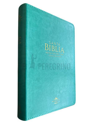 CLASICA TURQUESA CON INDICE