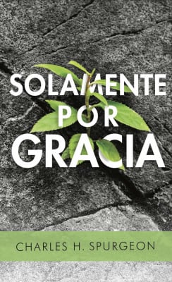 SOLAMENTE POR GRACIA