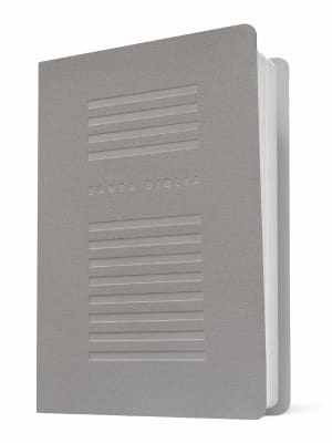 BIBLIA NTV VALOR PREMIUM LETRA GRANDE GRIS CON FILAMENT