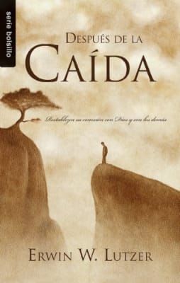 DESPUÉS DE LA CAÍDA DESPUÉS DE LA CAÍDA