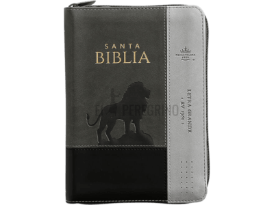 LEON, TRICOLOR GRIS, CIERRE E INDICE