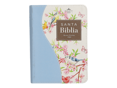 RENOVACION TURQUESA AZUL