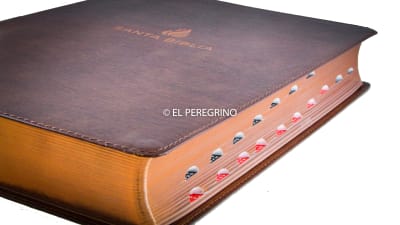 BIBLIA CON ÍNDICE REINA VALERA 1960 LETRA SUPER GIGANTE CON REFERENCIAS