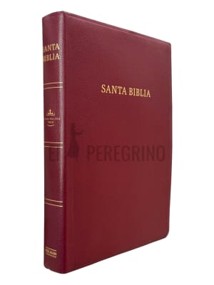 PIEL BORGOÑA SIN INDICE