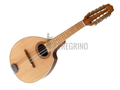 10 CUTAWAY CON AFINADOR