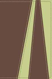 BIBLIA NVI PIEL ITALIANA A DOS TONOS 