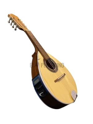 8 JACARANDA ELECTROACUSTICA