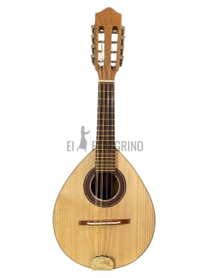 8 CUERDAS JACARANDÁ ACUSTICA