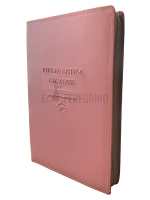 LETRA GIGANTE EMPASTADA CON INDICE ROSA