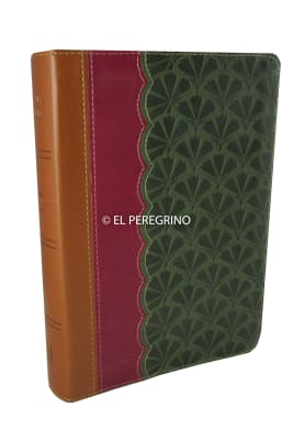 Biblia Reina Valera 1960 Letra Grande Chocolate Ciruela Y Verde con referencias Biblia Reina Valera 1960 Letra Grande Chocolate Ciruela Y Verde con referencias