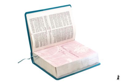 BIBLIA DE LA MUJER CONFORME AL CORAZÓN DE DIOS CELESTE