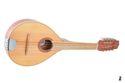 8 CUERDAS COMPACTA ULTRA DELGADA