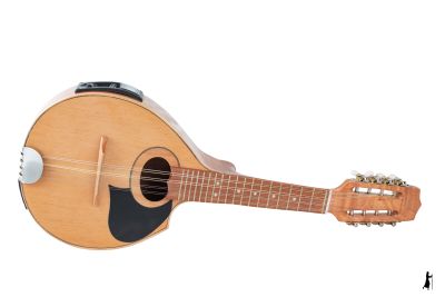 8 CUERDAS CUTAWAY ACTIVA