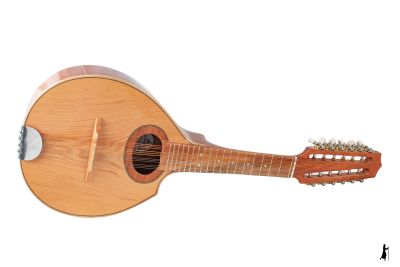 12 CUERDAS CUTAWAY