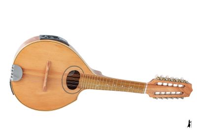 12 CUERDAS CUTAWAY ACTIVA