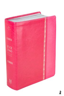 BIBLIA HOLMAN RVR 1960 ROSADA