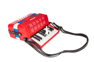 ACORDEON PARA NIÑOS GRANDE