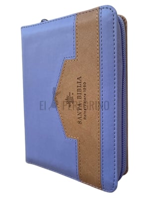 BICOLOR LILA / CAFÉ