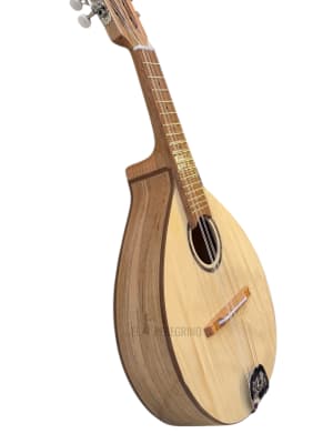 10 CUERDAS RAULI PINO ABETO