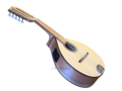 10 CUERDAS RAULI PINO ABETO ELECTROACUSTICA