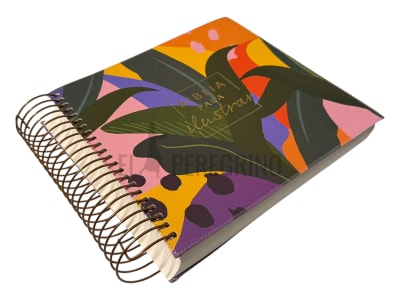 BIBLIA PARA ILUSTRAR
