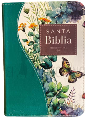 RENOVACION TURQUESA PRIMAVERA