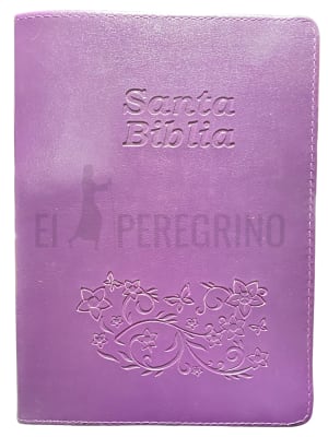ESTUCHE BIBLIA 82'