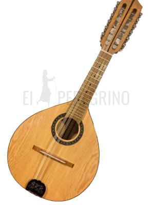 12 CUERDAS ECONOMICA  ACUSTICA