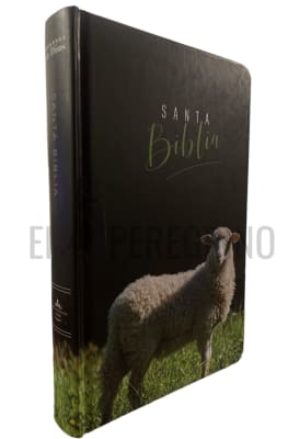 BIBLIA NOMBRE DE DIOS DISEÑOS CON Y SIN INDICE