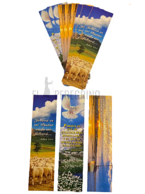 PACK 12 UN. SEPARADOR DE BIBLIA
