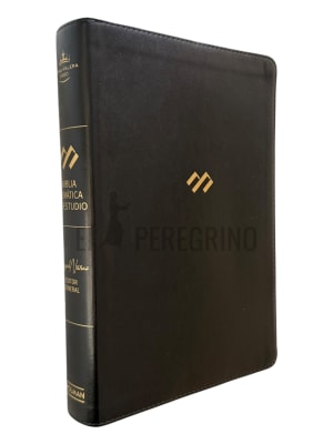 TEMATICA DE ESTUDIO NEGRA