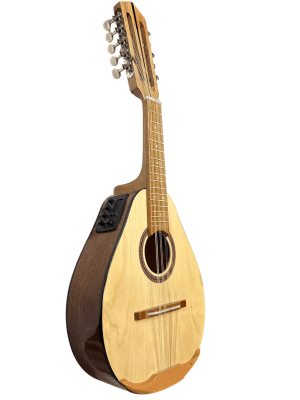 10 CUERDAS CAOBA ELECTROACUSTICA