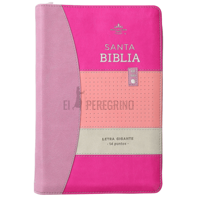 ICONIC LILA, ROSA, CIERRE E INDICE, LETRA GIGANTE