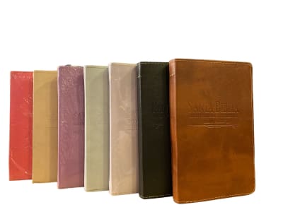 BIBLIA PROMESAS MANUAL RVR 1960 CON CIERRE E INDICE BIBLIA PROMESAS MANUAL RVR 1960 CON CIERRE E INDICE