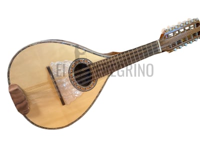 12 CUERDAS PINO ABETO JACARANDA ACUSTICA