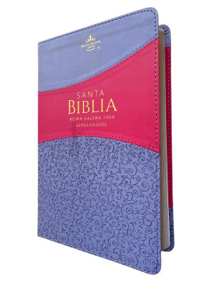 BITONO LILA/FUCSIA