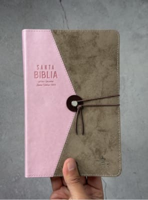 Biblia Vintage RVR60c Rosa/Café