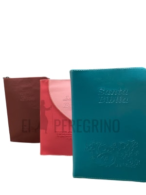ESTUCHE BIBLIA 62