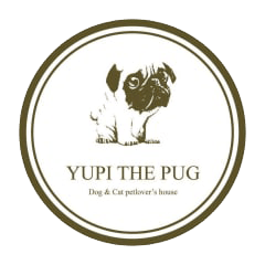 Yupi The Pug