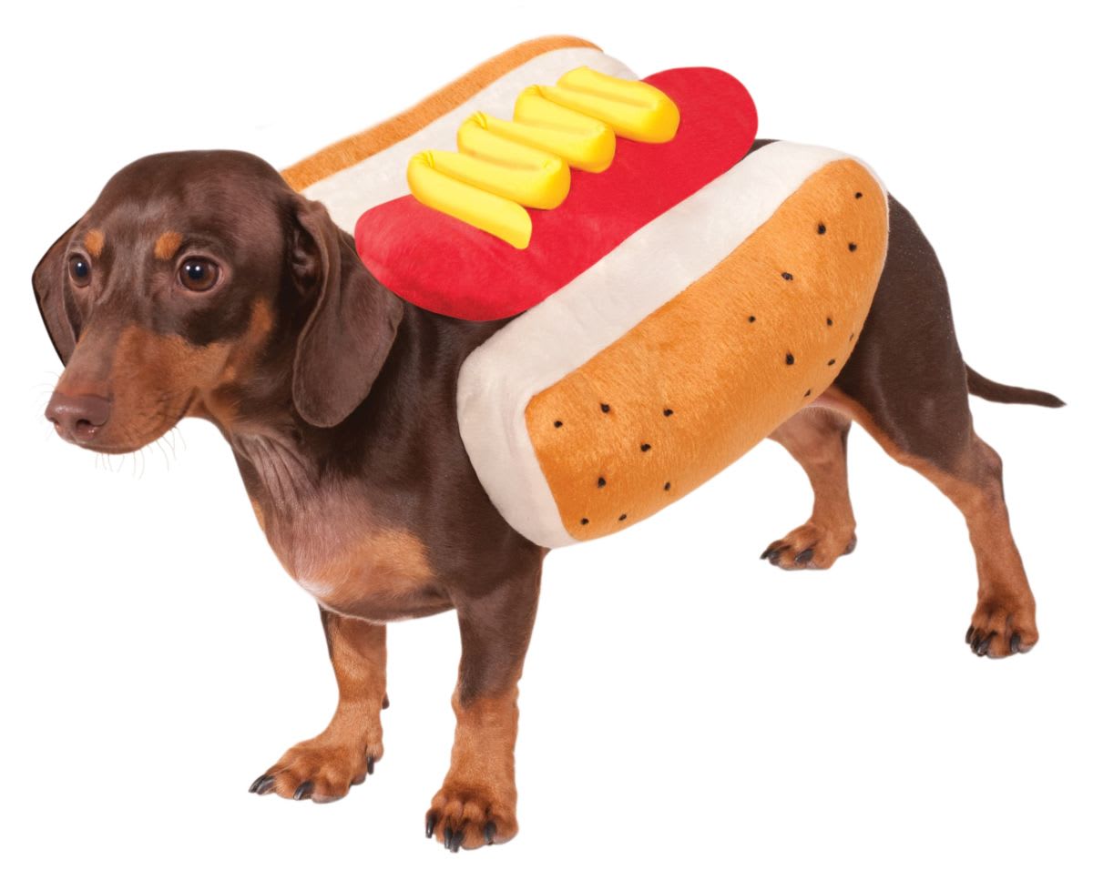 Disfraces Halloween Disfraz Hot Dog Perro DISFRAZ DE HOT DOG PET