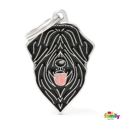 MY FAMILY FRIENDS TERRIER RUSO NEGRO1